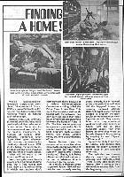 Vol_1_29.jpg