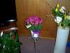 100_2839.JPG